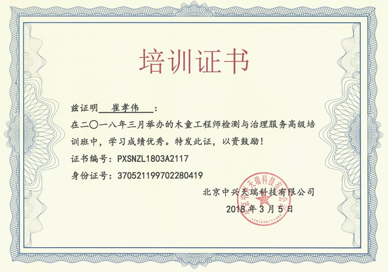 崔曉偉-木童工程師檢測與治理服務(wù)高級(jí)培訓(xùn)證書.jpg